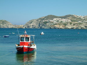 porcik w Agia Pelagia na Krecie