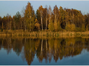 Barwy jesieni 