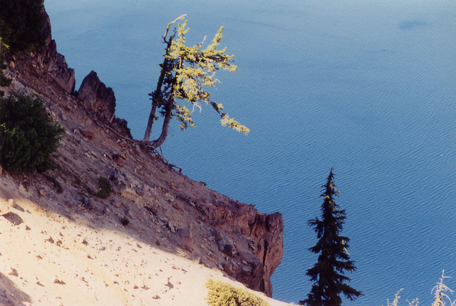 Crater Lake NP - Oregon