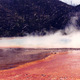 Yellowstone NP - Wyoming