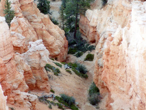 Bryce Canyon NP - Utah