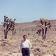 Pustynia Mojave - Kalifornia