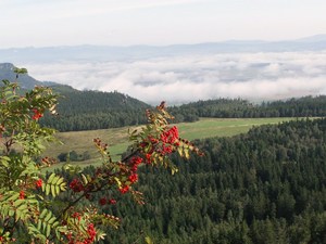 góry stołowe