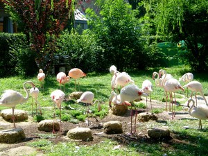 Krakowskie ZOO