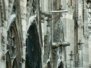 Notre dame3