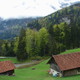 Wyczesana trawa
