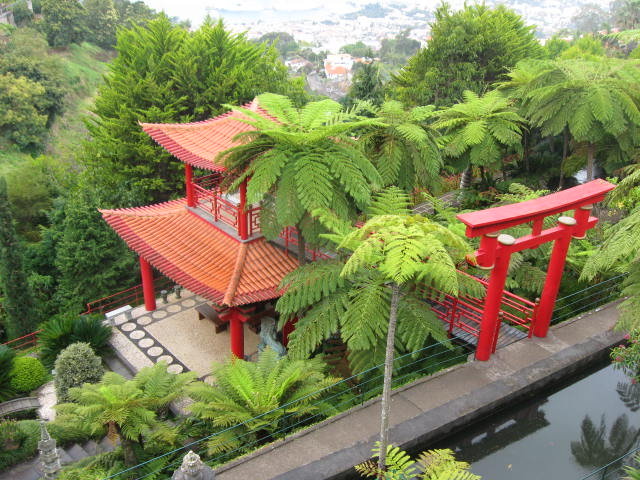 Funchal, ogród tropikalny