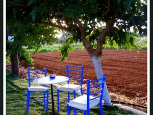 Kreta