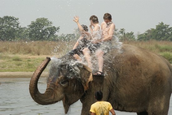 Park Chitwan
