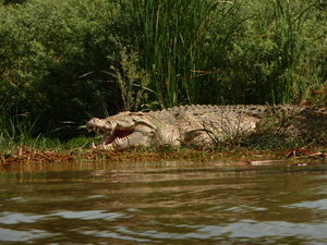 safari - Arba Minch