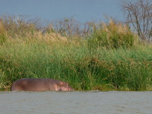 safari - okolice Arba Minch