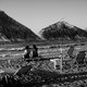 Stalida