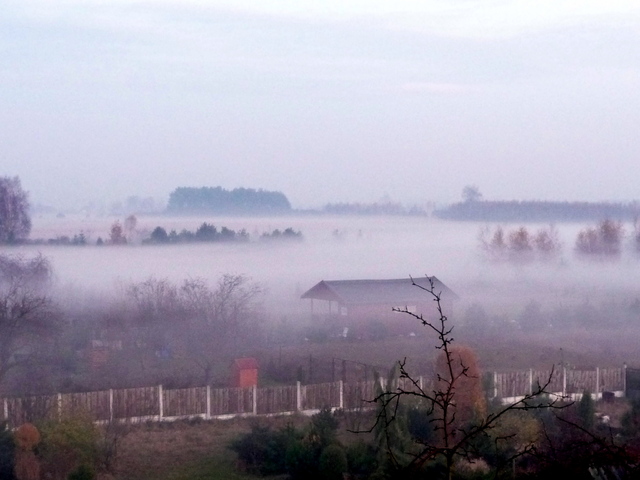 Mgła (5)