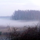 Mgła (7)
