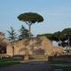 Rzym- drzewko w murze
