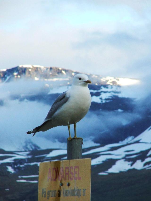 Skibotn, Norwegia.