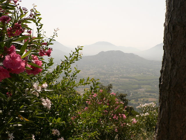 Monte Cassino 