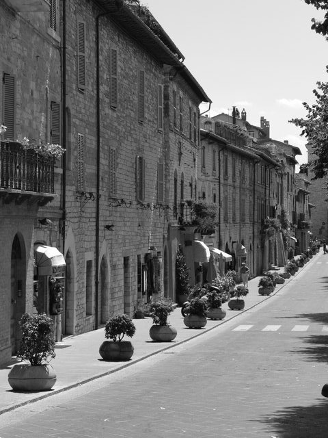 Assisi 