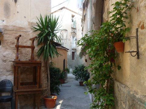 Zaulek Tropea 2009