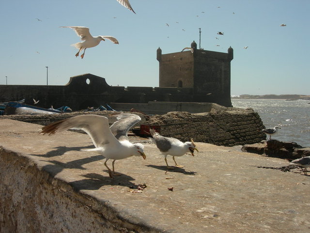 Essaouira, Maroko