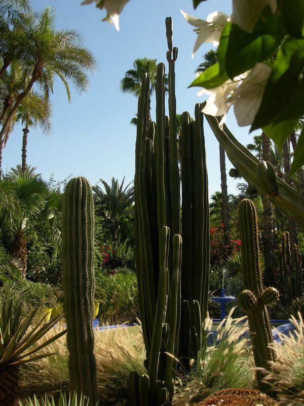 Marrakech, Maroko