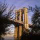 Kitch Brooklyn Bridge