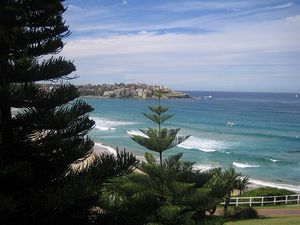 Bondi Beach