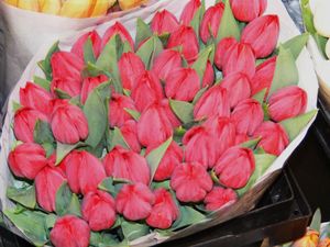 tulipanki
