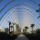 163588 - Walencja Sladami Santiago Calatravy
