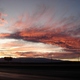 Mojave