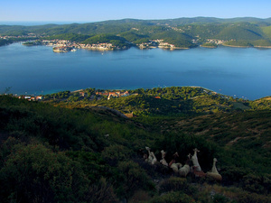 Korcula