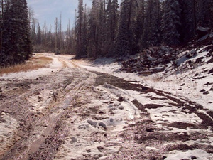 Cedar Breaks