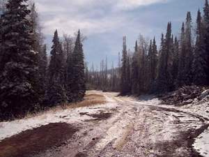 Cedar Breaks