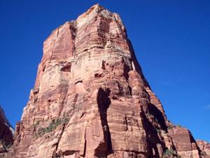 Zions