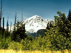Mount  Rainier - szczyt wulkanu sąsiadującego  z Mt. Saint Helens.