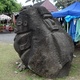 Rarotonga 