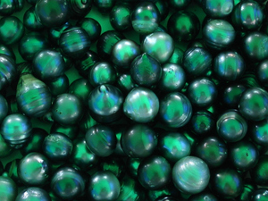 Rarotonga - czarne perly z Wysp Cooka