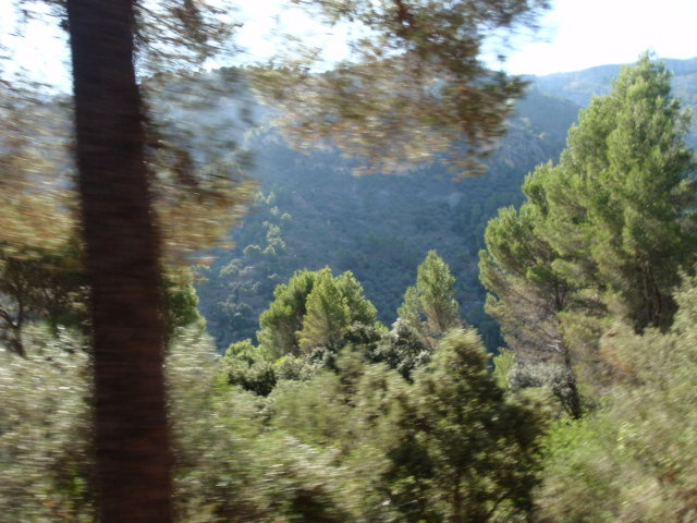 Majorka 2009 155