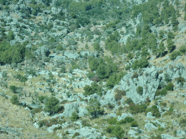 Majorka 2009 225