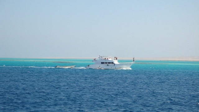 Snorkeling na Morzu Czerwonym niedaleko Hurghady