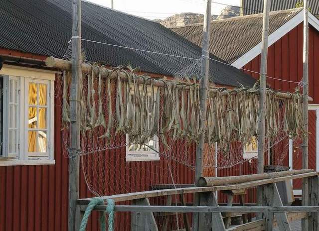 Nusfjord i stockfishe