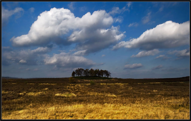 pejzaż 
