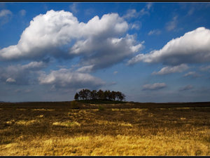 pejzaż 