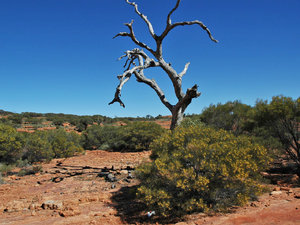 Outback, Northern Territory, Australia