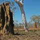 Kopce termitow, Kakadoo, NT