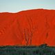 Plonace Uluru, NT