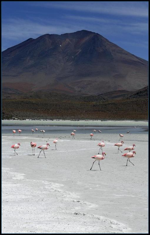 Uyuni