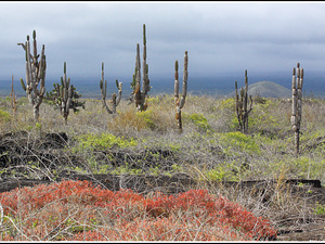 Ecuador