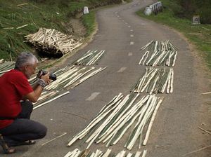 Produkcja mat bambusowych
