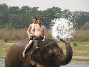Kąpiel ze słoniem - piękny prysznic